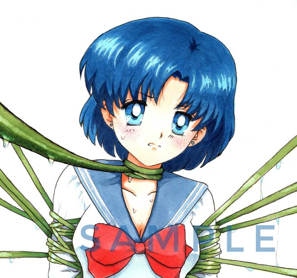 同人手描きイラスト セーラームーン マーキュリー 水野亜美 B5サイズ ピンチ 制服 拘束 手描きイラスト 売買されたオークション情報 Yahooの商品情報をアーカイブ公開 オークファン Aucfan Com