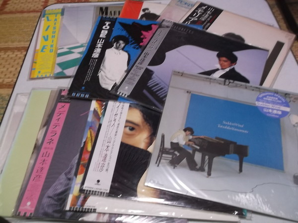 新品】 YUKI (JUDY AND MARY) / MEGAPHONIC(2LP) (国内LP) JUDY AND