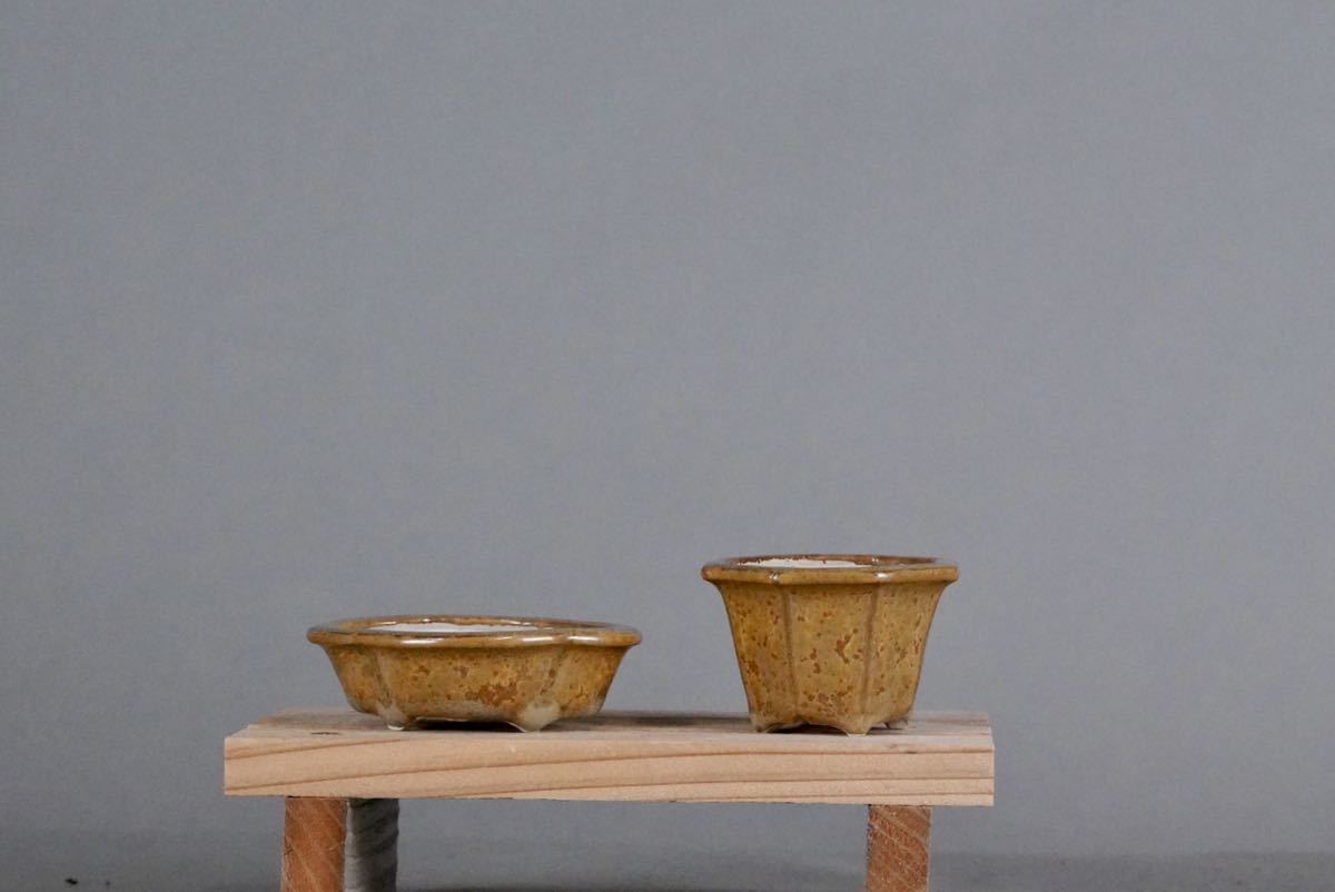 小品盆栽鉢 人気ミニ植木鉢 志水 蕎麦釉窯変植木鉢 2本 【公式通販】