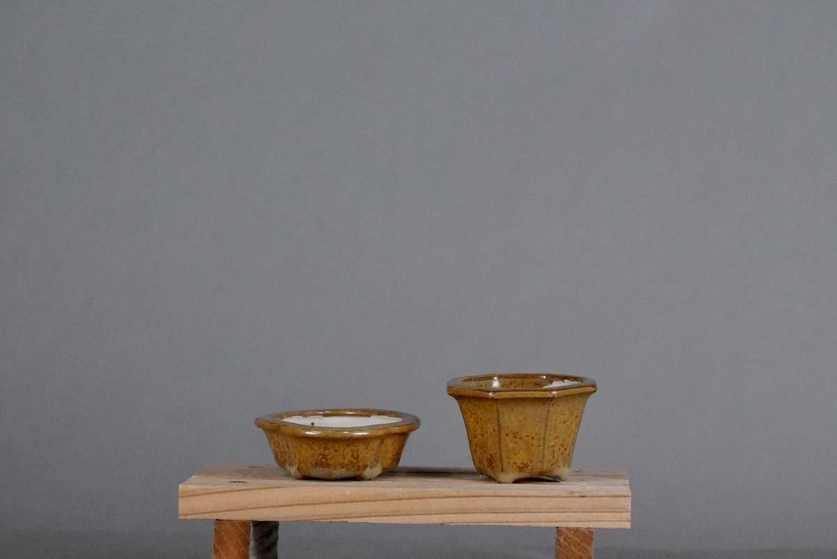 小品盆栽鉢 人気ミニ植木鉢 志水 蕎麦釉窯変植木鉢 2本 【公式通販】