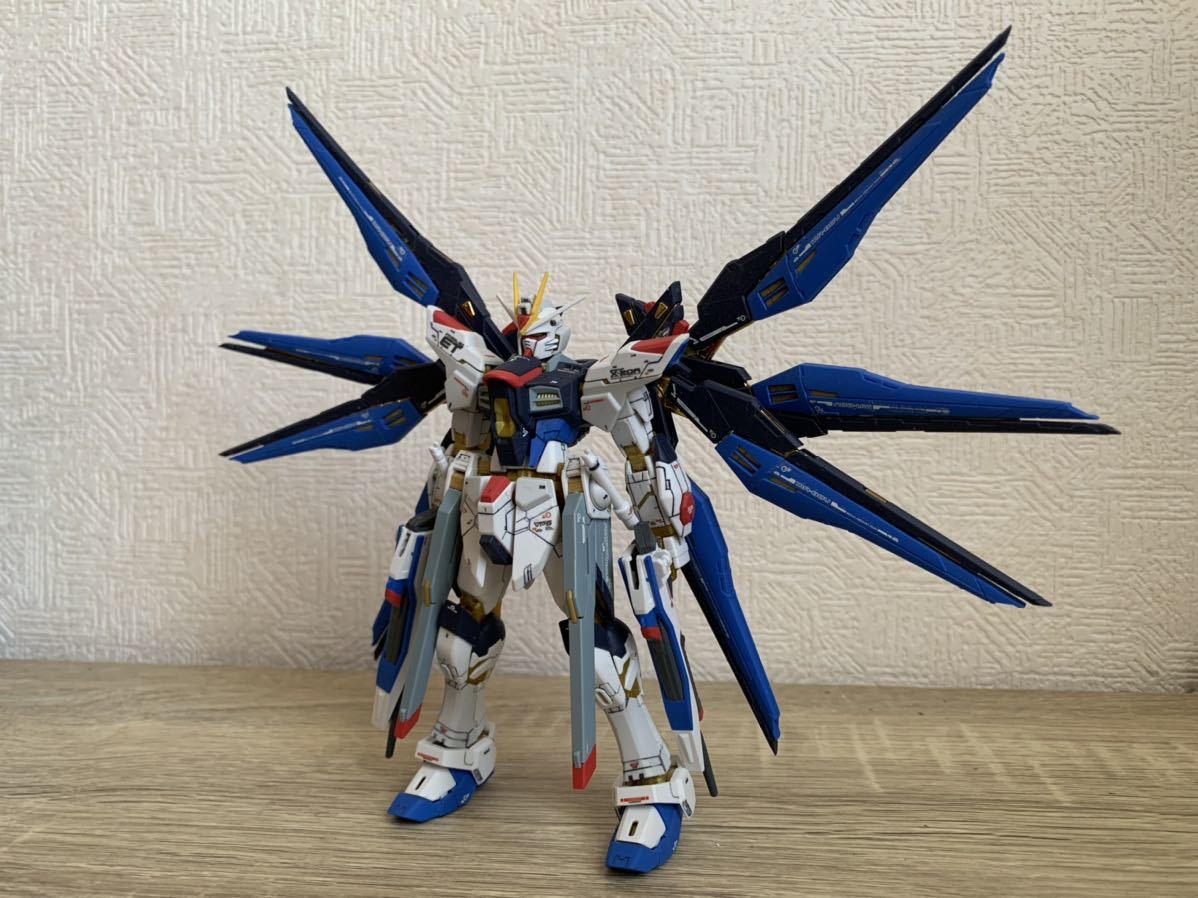 RG 1/144 ガンプラ 完成品 ストライクフリーダムガンダム 素組 SEED 