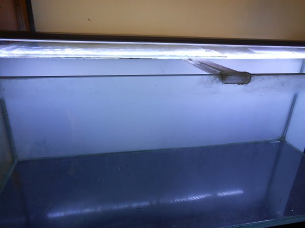 引き取り限定 中古品 レグラス曲面水槽 120㎝ 1200×45×45 ゼンスイ  