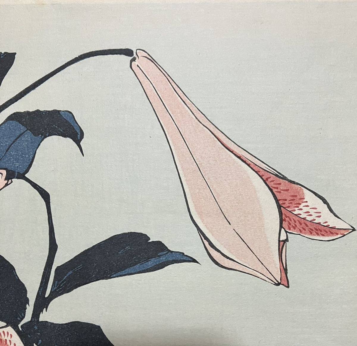 葛飾北斎「百合」花鳥絵 浮世絵 木版画 錦絵 大判 画像保存良い 検索