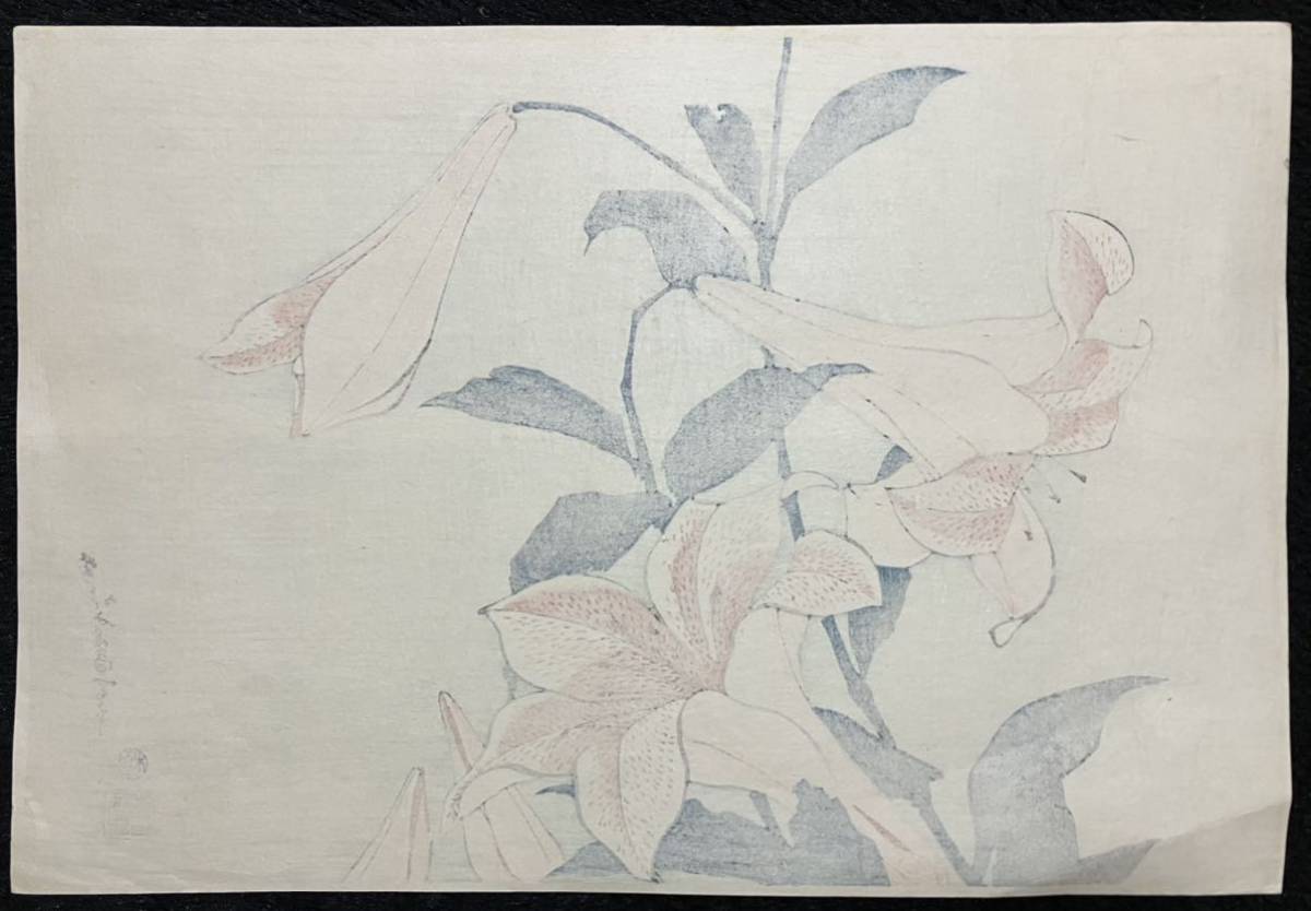 葛飾北斎「百合」花鳥絵 浮世絵 木版画 錦絵 大判 画像保存良い 検索