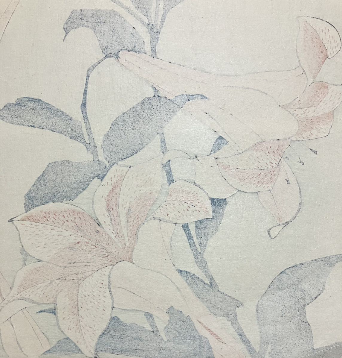 葛飾北斎「百合」花鳥絵 浮世絵 木版画 錦絵 大判 画像保存良い 検索