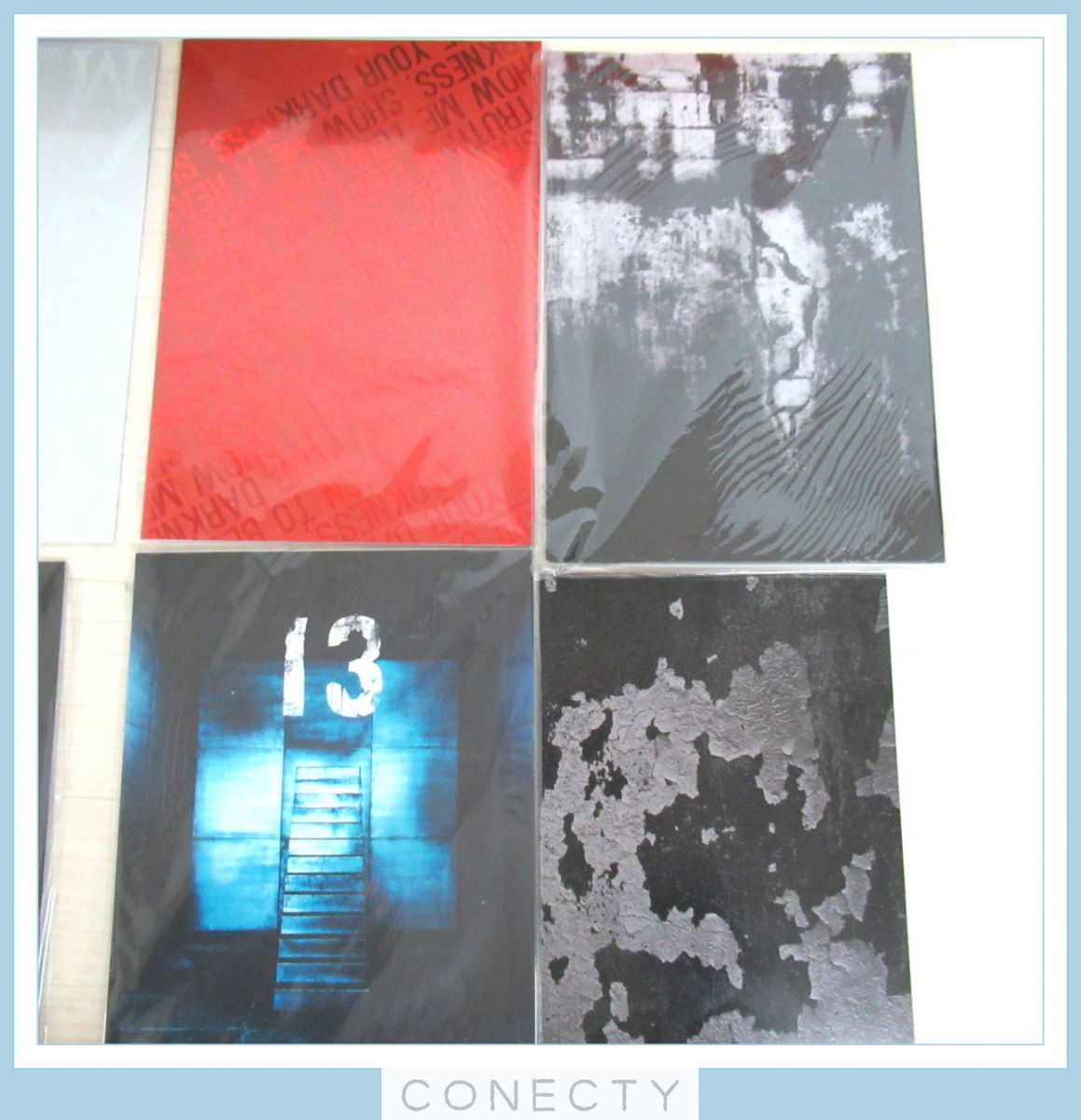 the GazettE ガゼット 写真集 パンフレット 大量セット/shoxx file