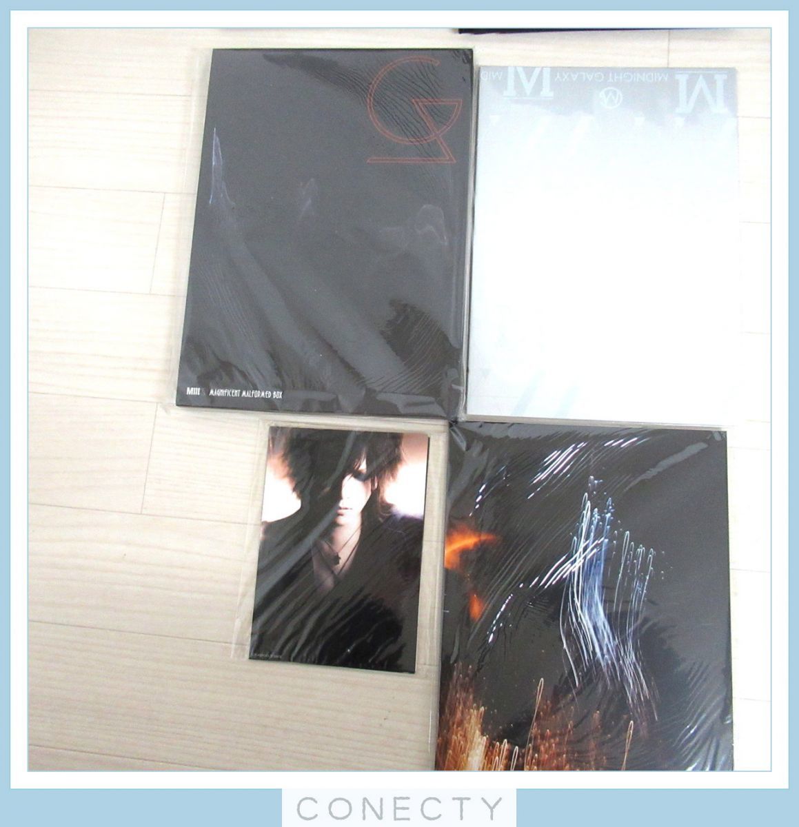 the GazettE ガゼット 写真集 パンフレット 大量セット/shoxx file