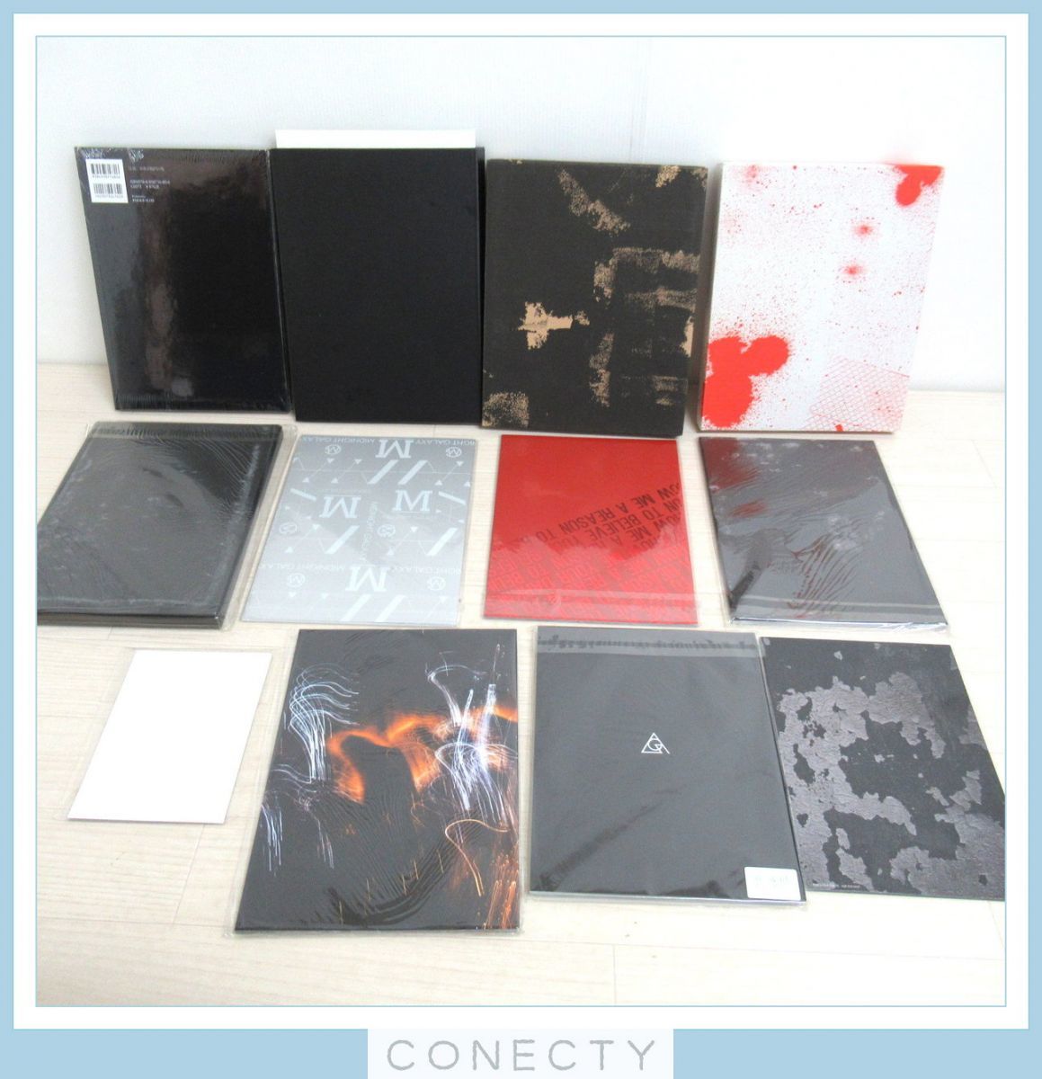 the GazettE ガゼット 写真集 パンフレット 大量セット/shoxx file