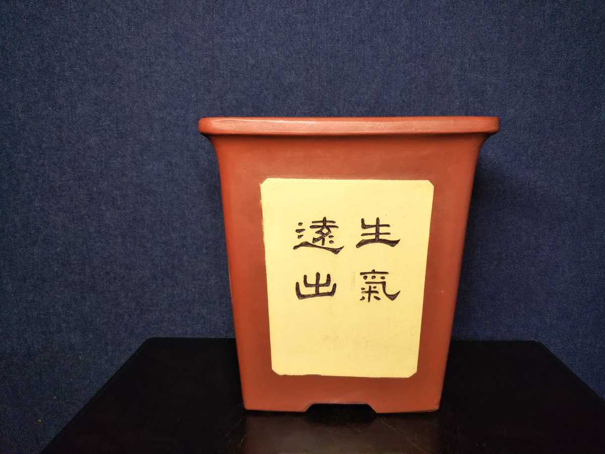 | 盆栽、盆栽書籍、盆栽鉢の通販│近代出版 長辺 外縁 ◇盆栽幸◇外縁釘彫正方鉢２つ組◇中国宜興◇左右：17.9cmE-B 公式通販 和鉢 紫泥上帯外縁焼〆丸鉢 外径１５７㎜ 盆栽鉢 富舟／渡辺富舟 小型 釘彫り 福娘 中古盆栽鉢 烏泥外縁切足長方鉢