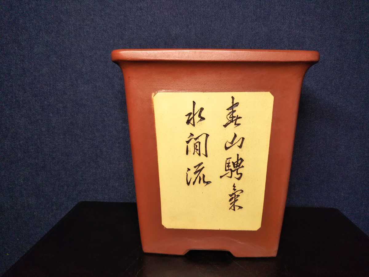 | 盆栽、盆栽書籍、盆栽鉢の通販│近代出版 長辺 外縁 ◇盆栽幸◇外縁釘彫正方鉢２つ組◇中国宜興◇左右：17.9cmE-B 公式通販 和鉢 紫泥上帯外縁焼〆丸鉢 外径１５７㎜ 盆栽鉢 富舟／渡辺富舟 小型 釘彫り 福娘 中古盆栽鉢 烏泥外縁切足長方鉢