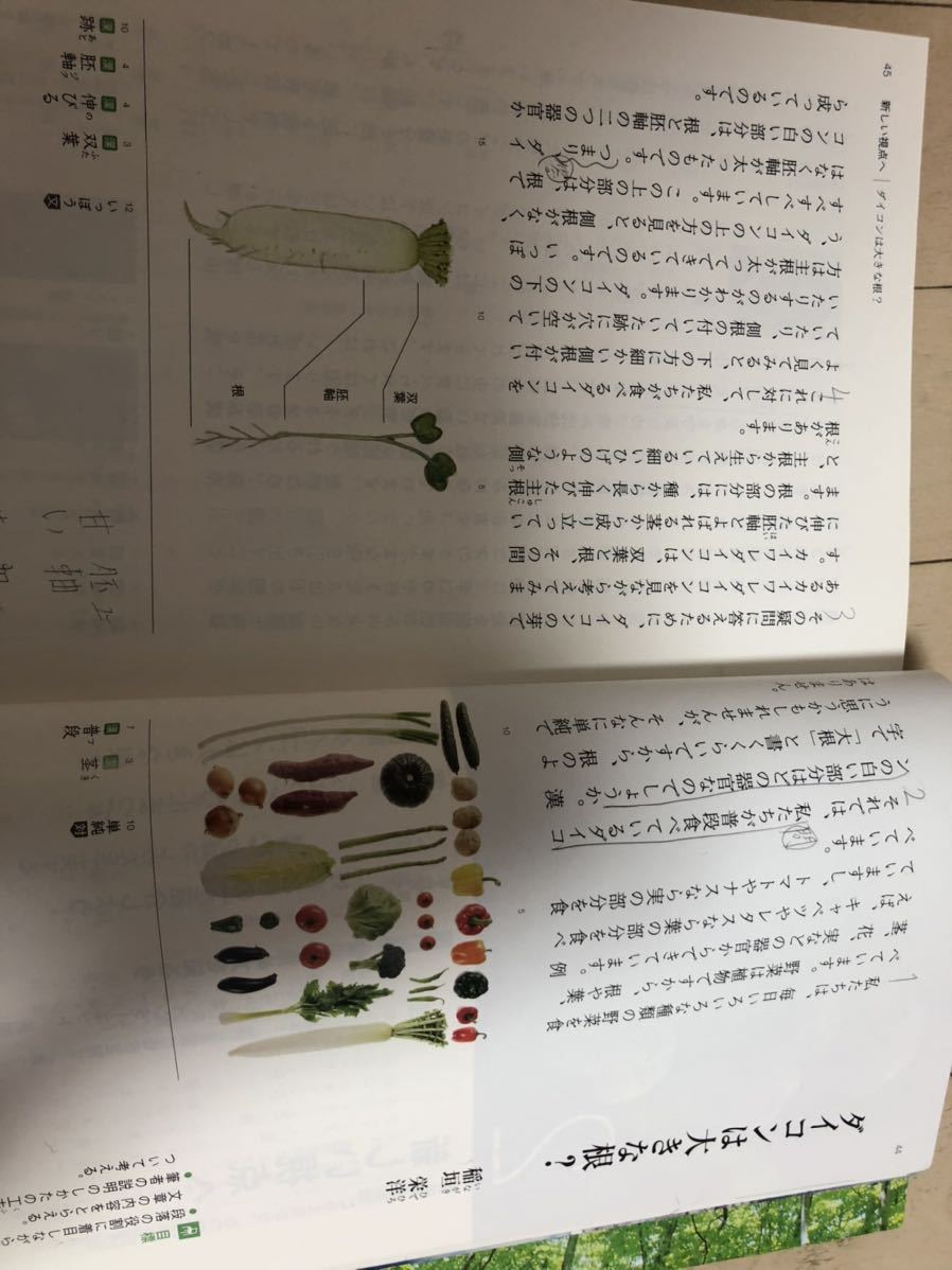 光村図書 教科書 国語 中1 文部科学省検定済教科書 中学国語 中学校 売買されたオークション情報 Yahooの商品情報をアーカイブ公開 オークファン Aucfan Com