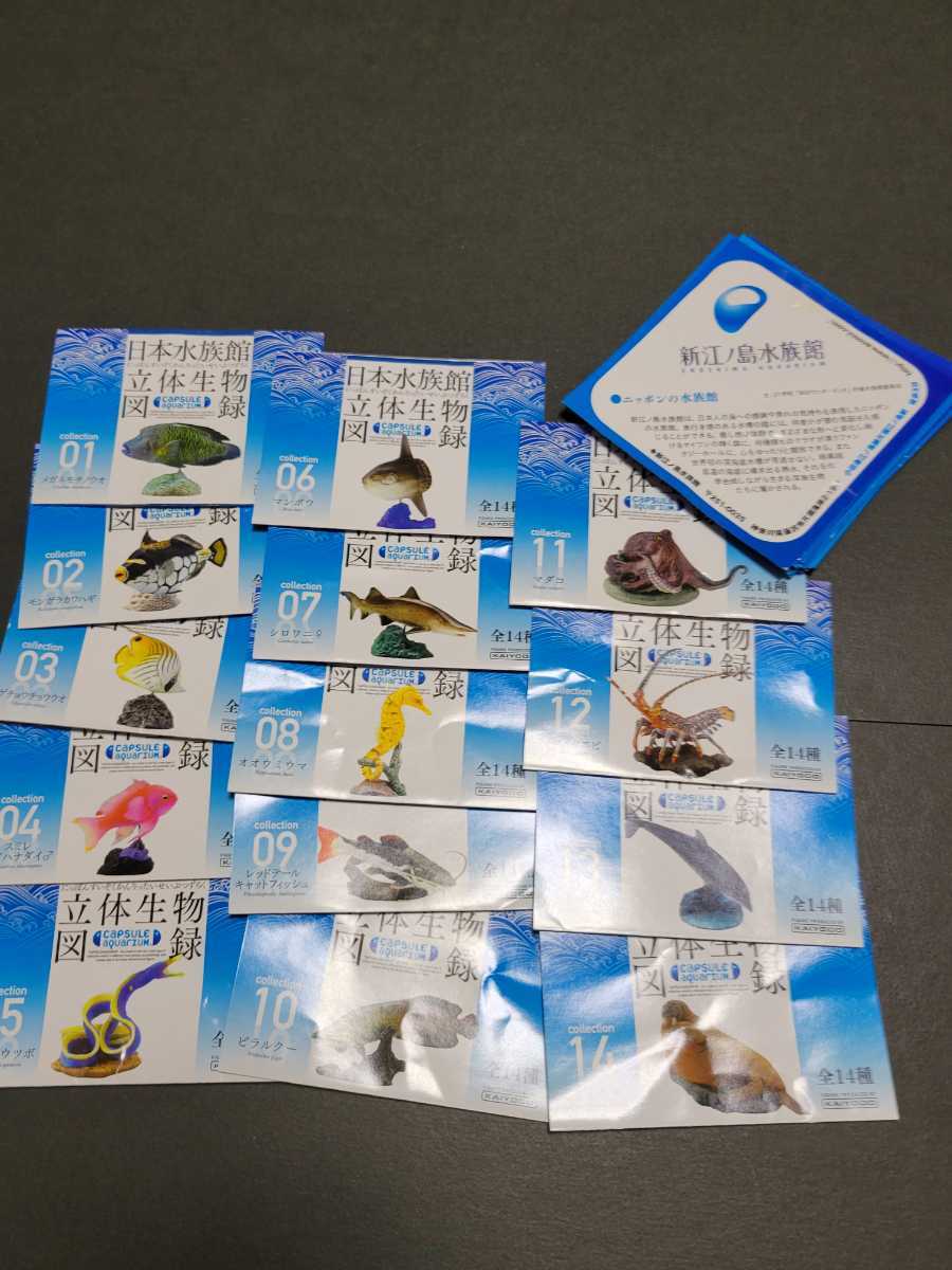 海洋堂日本水族館立体生物図録第2弾15種フルコンプ＋α新品未開封品