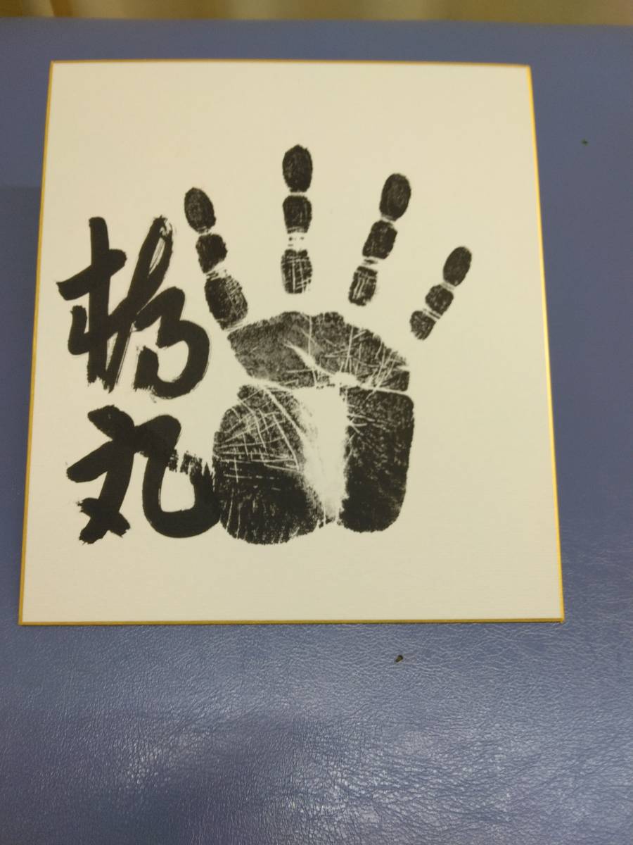 大相撲力士 手形 サイン色紙 直筆サイン色紙 サイン 大相撲 【公式通販】