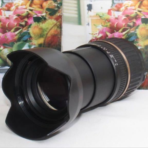 ニコン用 18-200mm 18-200 希少品これ1本で近遠対応タムロン