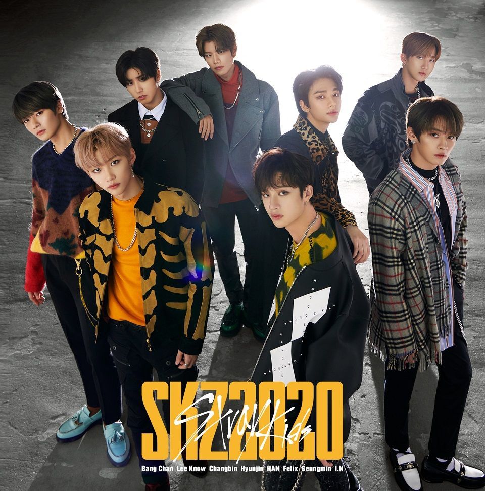 新品，人気 匿名配送 2CD 通常盤初回仕様 Stray Kids SKZ2020 ストレイキッズ 4547366444490(ワールドミュージック)｜売買されたオークション情報、yahooの商品情報をアーカイブ公開 - オークファン その他