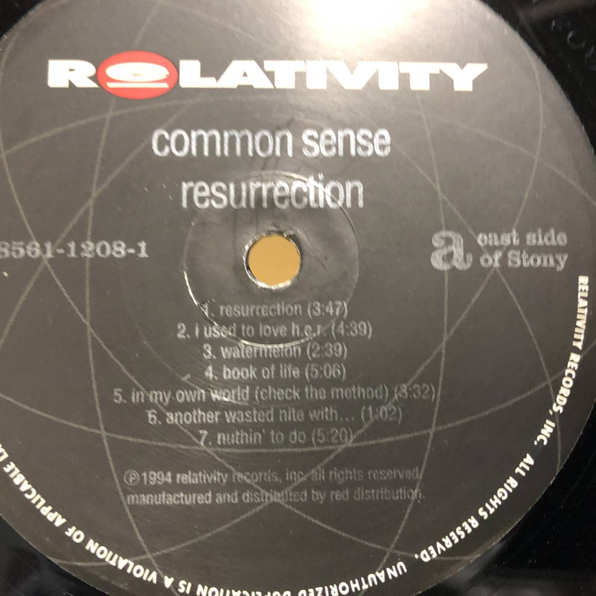 COMMON SENSE RESURRECTION LP US盤 Orig