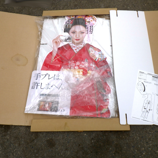 等身大パネル 浜崎あゆみ Panasonic(浜崎あゆみ)｜売買された