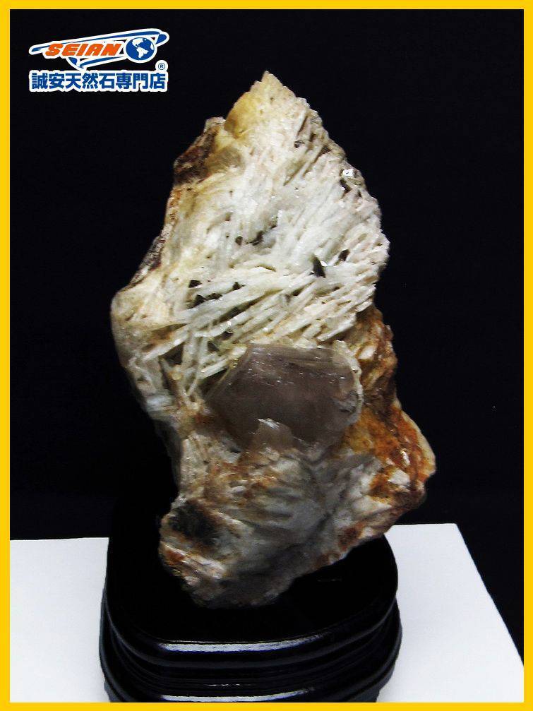 imgrc0106190641