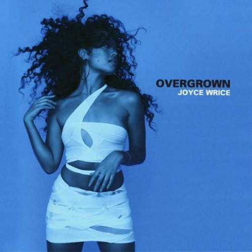 お買い得，限定セール LP / JOYCE WRICE / OVERGROWN LP(R&B、ソウル)｜売買されたオークション情報、yahooの商品情報をアーカイブ公開 - オークファン Ru0026B、ソウル