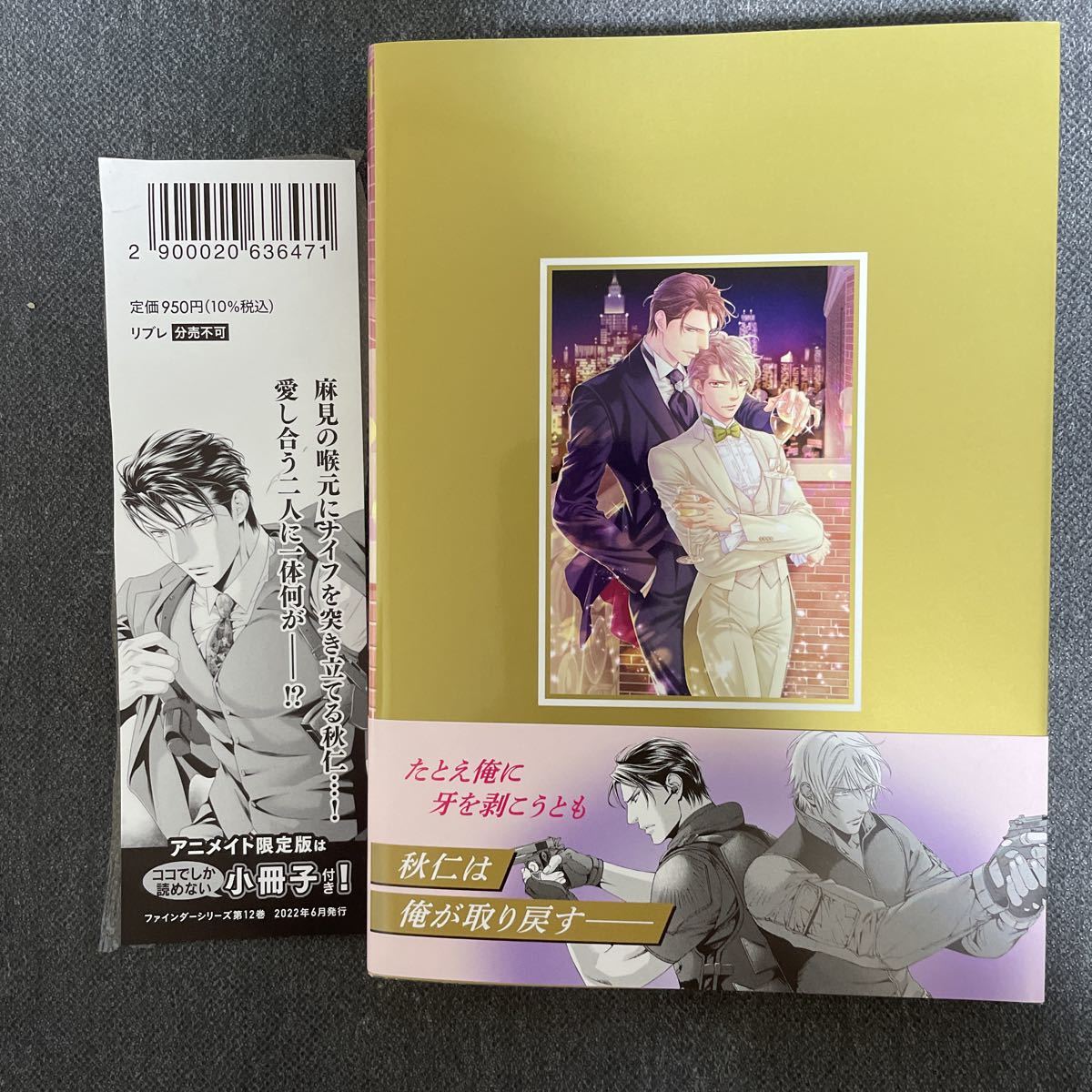 新刊 ファインダーの抱擁 描き下ろし小冊子付アニメイト限定版 やまねあやの ボーイズラブ 売買されたオークション情報 Yahooの商品情報をアーカイブ公開 オークファン Aucfan Com