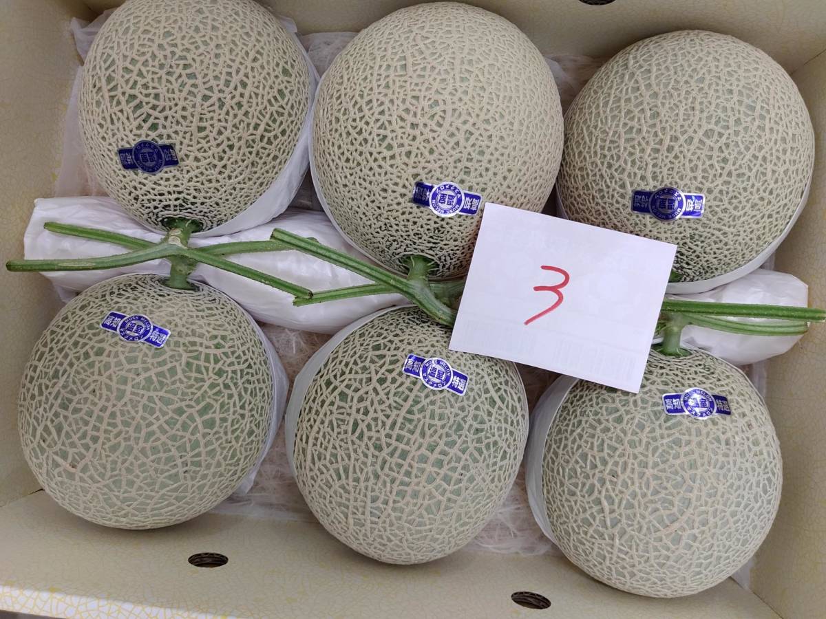 マスクメロン 高知産 ☆ 高知県産 ☆６玉入 ☆約８， ☆約８，８kg マスクメロン大玉２玉入 ご贈答用 約３〜４ｋｇ - 温室マスクメロン 2玉 メルカリ ♪６温室 価格.com
