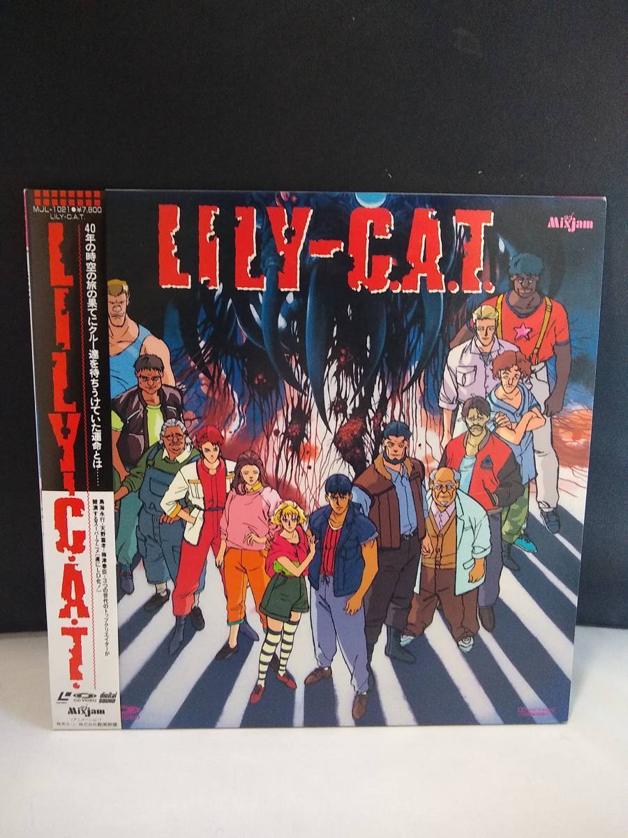LILY-C.A.T. リリィキャット LD レーザーディスク カテゴリー 【公式通販】