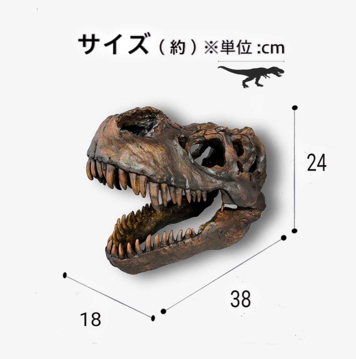 DINOWORLD】トリケラトプス 頭骨レプリカ 化石 ジュラシックワールド