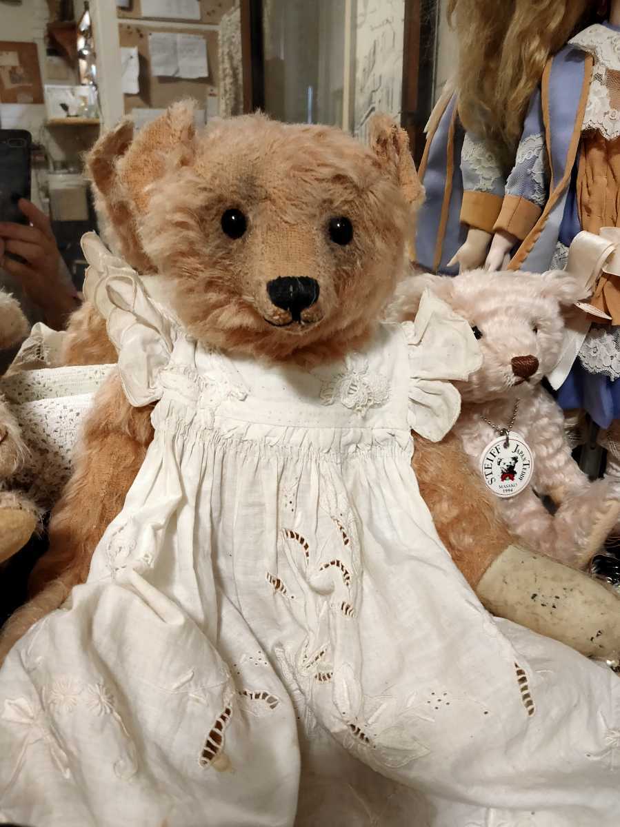 フォーゲットミーノットベア アンティークベア 海外作家(体長30cm