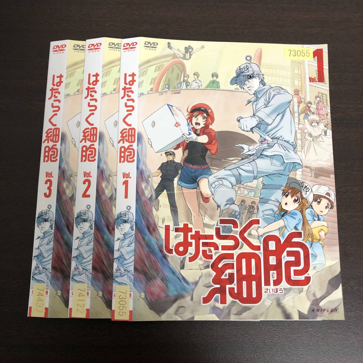井上喜久子 ただいま お宝発見 お見逃しなく 声優界のレジェンドのセカンドアルバム 未開封品 背表紙色褪せにて特価 送料無料 割引 お宝発見