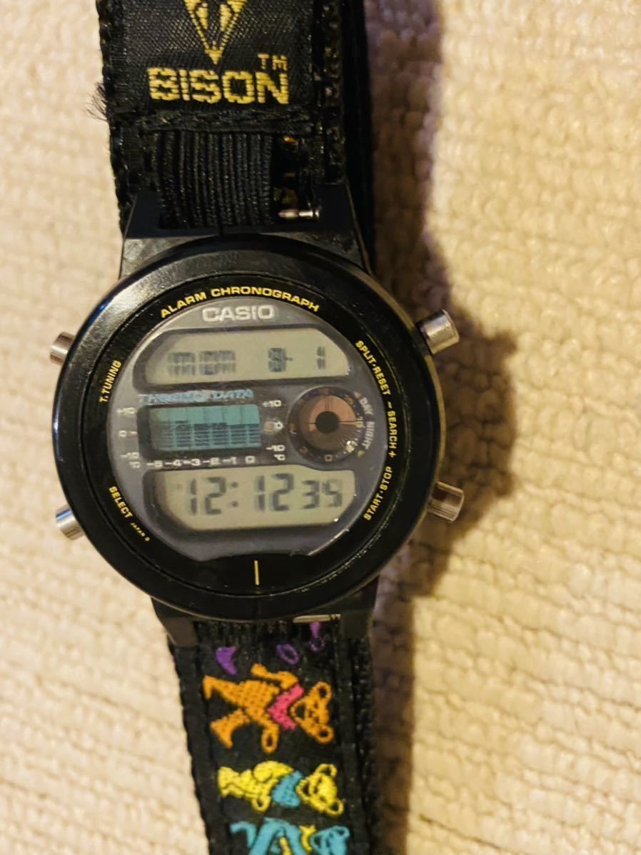 ☆ 希少！BISON ベルト & CASIO G-SHOCK DW-6100 ☆ グレイトフル