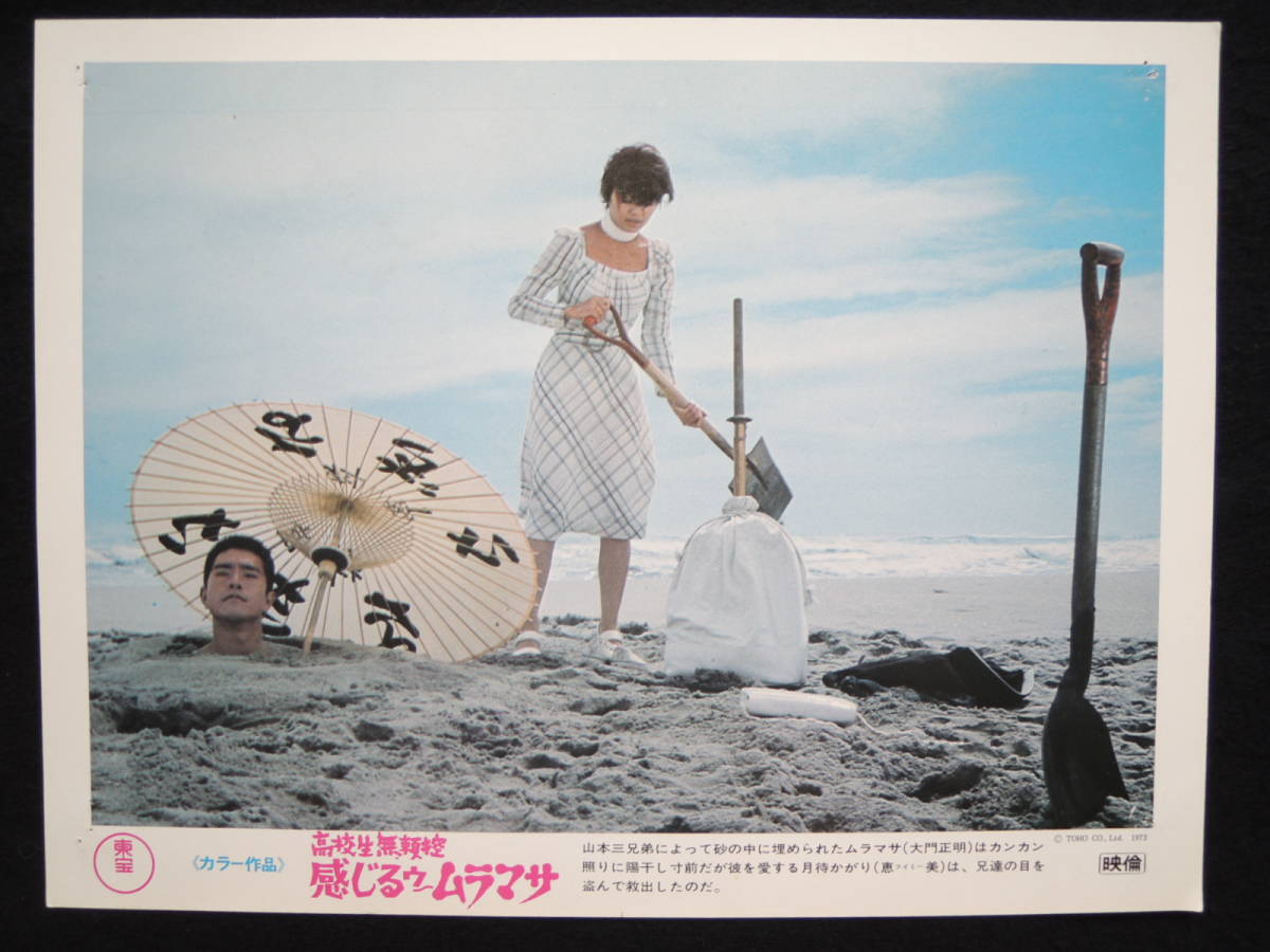 映画 ロビーカード 8枚セット 高校生無頼控 感じるゥ ムラマサ 東宝 1973 昭和48年 小池一夫 大門正明 退色なし 映写技師蒐集品 ...