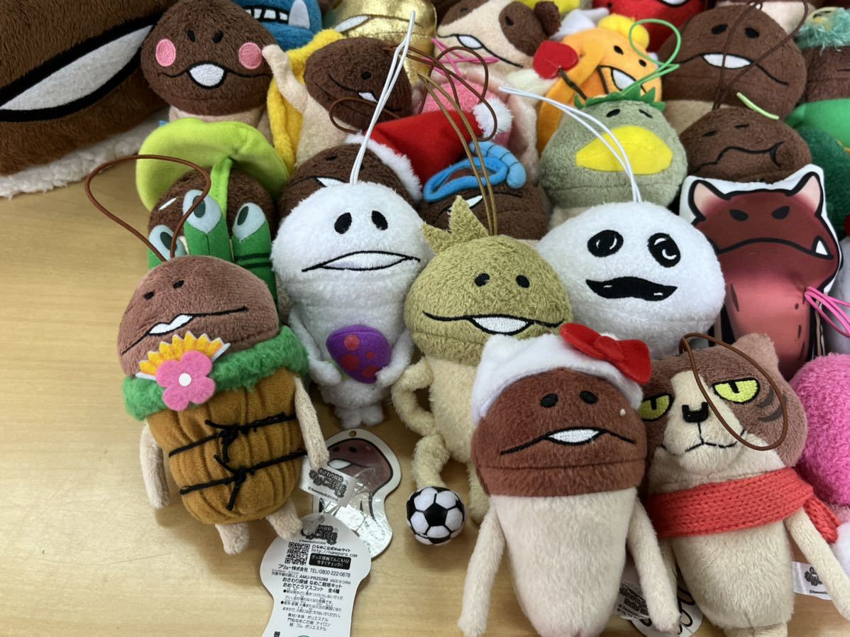 なめこ栽培キット なめこ まとめ ぬいぐるみ ミニぐるみ マスコット