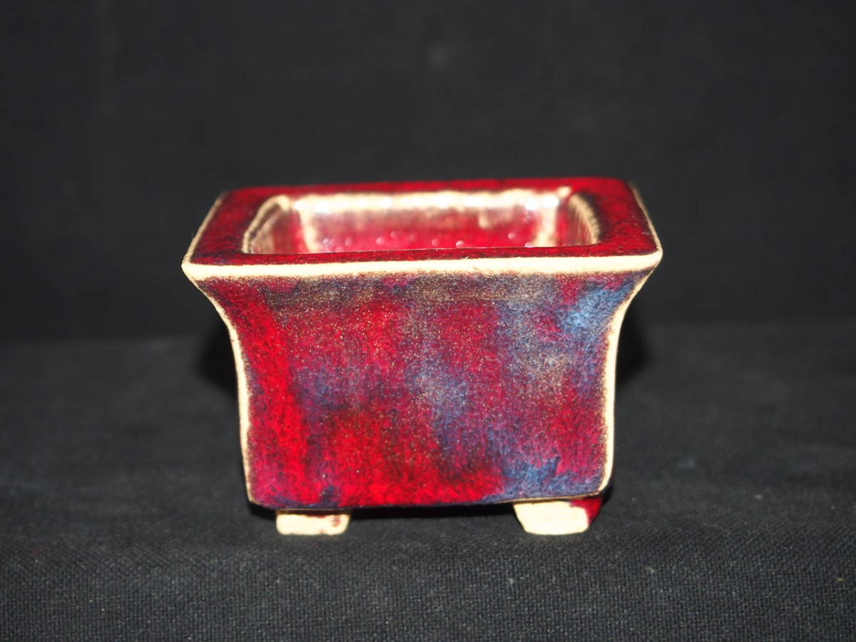 中国古盆器 紫砂 盆栽鉢 紫泥外縁楕円鉢 東寳公造 ⁄蔵出し⁄唐物⁄古玩