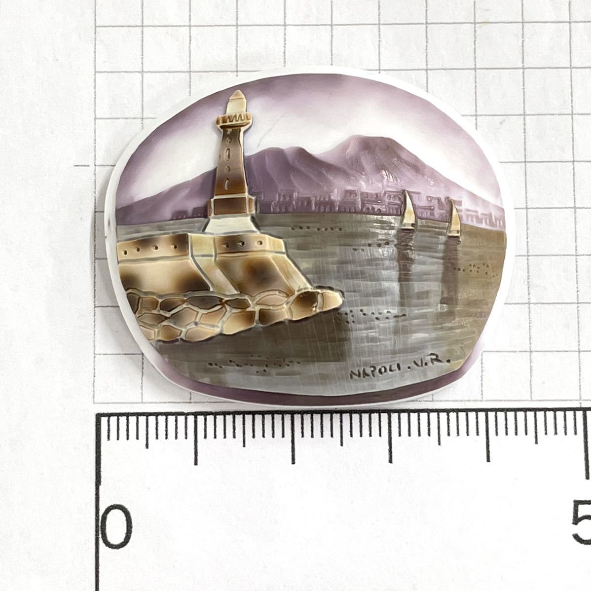 富貴蘭「島の奇跡の斑入り」現品限りの一品物 富貴蘭 変化を