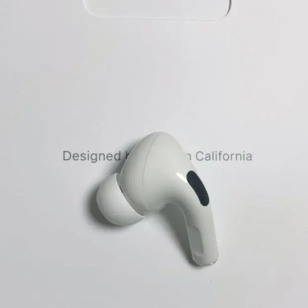 AirPods Pro Apple 左耳 片耳 第2世代 純正 公式通販 左 エアーポッズ 2世代 L 0 片方 左耳のみ lightning