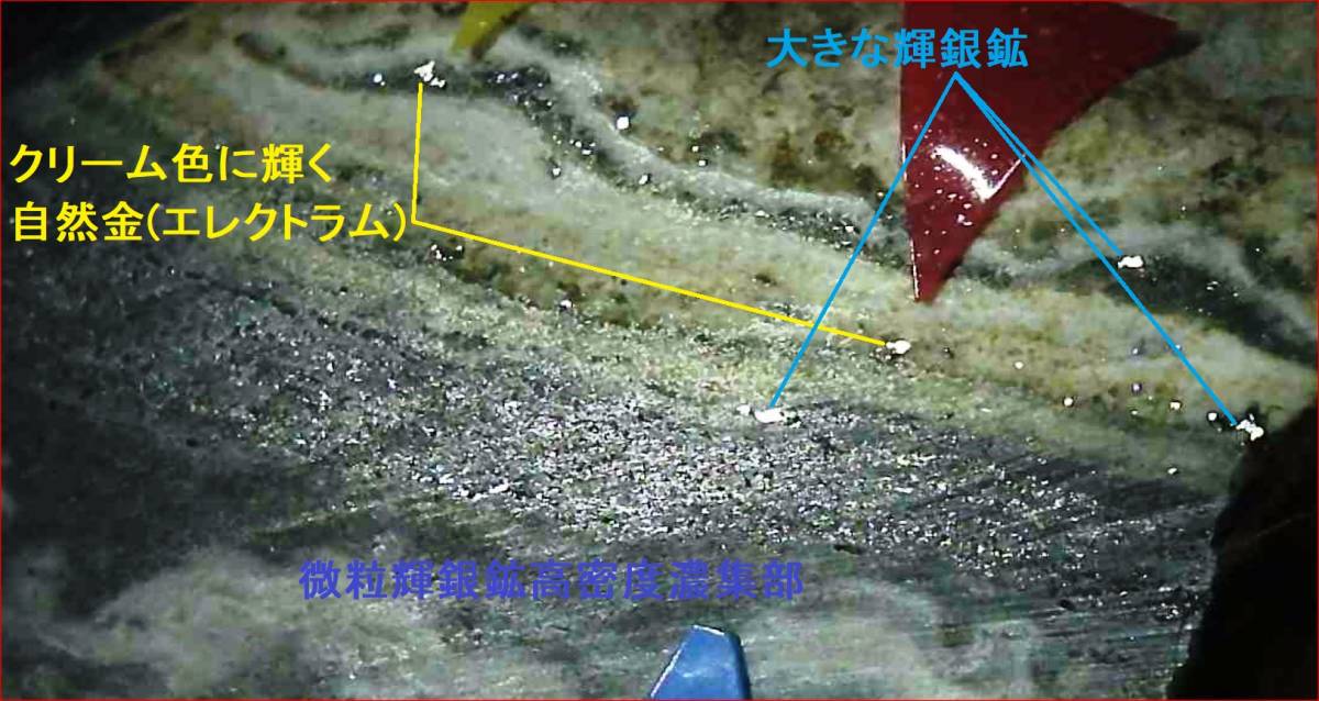 No.236 元山本鉱床大露頭 超高品位帯状輝銀鉱 北海道鴻之舞鉱山 原石