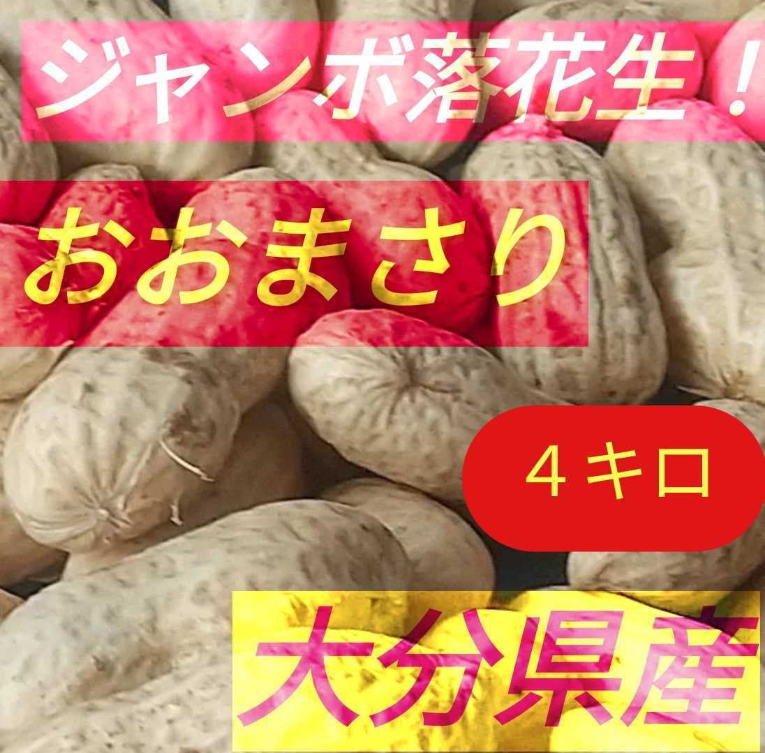 おおまさり 落花生 4キロ箱込み土つき おおまさり 落花生 食品 千葉県産生