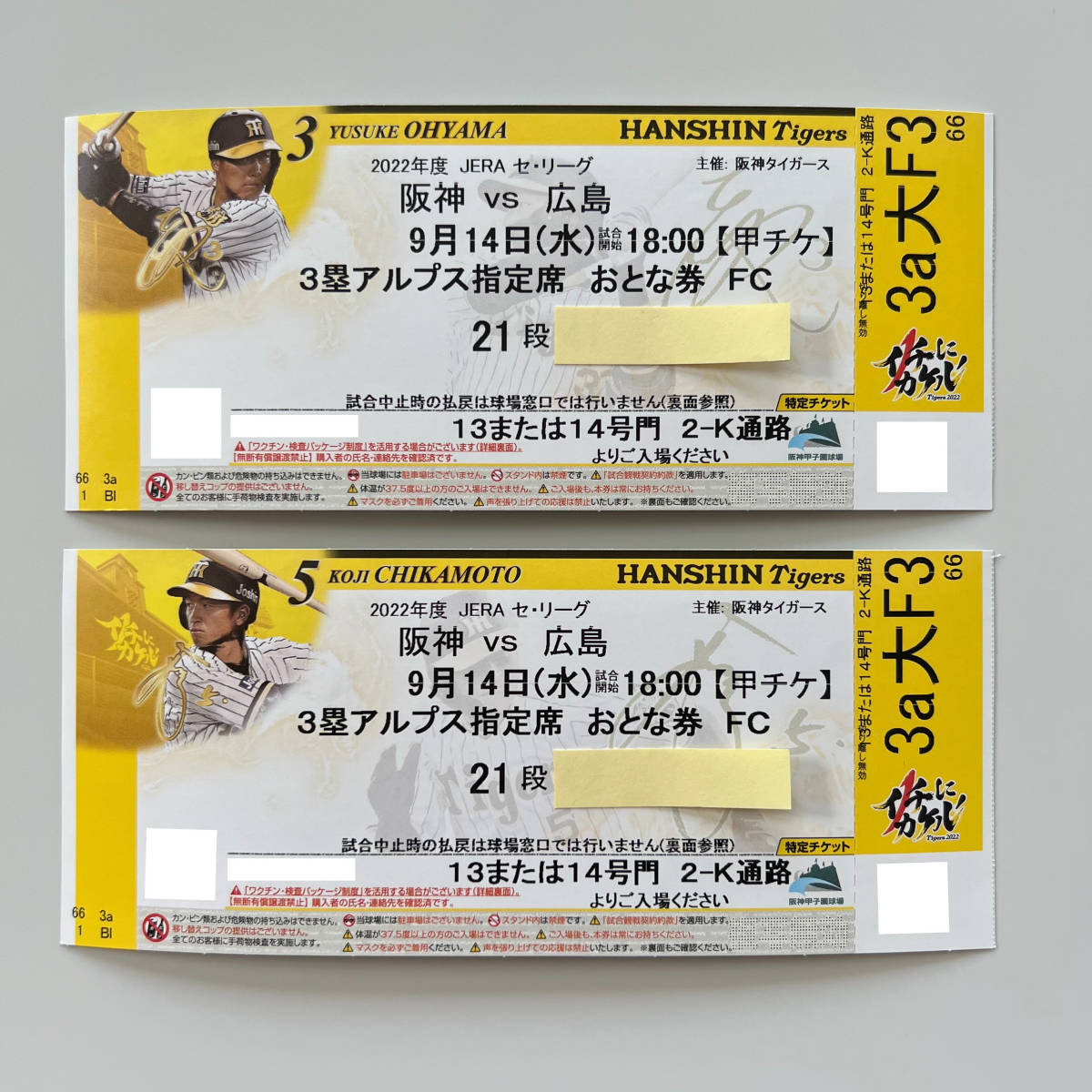 9月14日(水) ★阪神vs広島★試合開始18時★3塁アルプス指定席21段★おとな券2枚★連番★阪神甲子園球場 