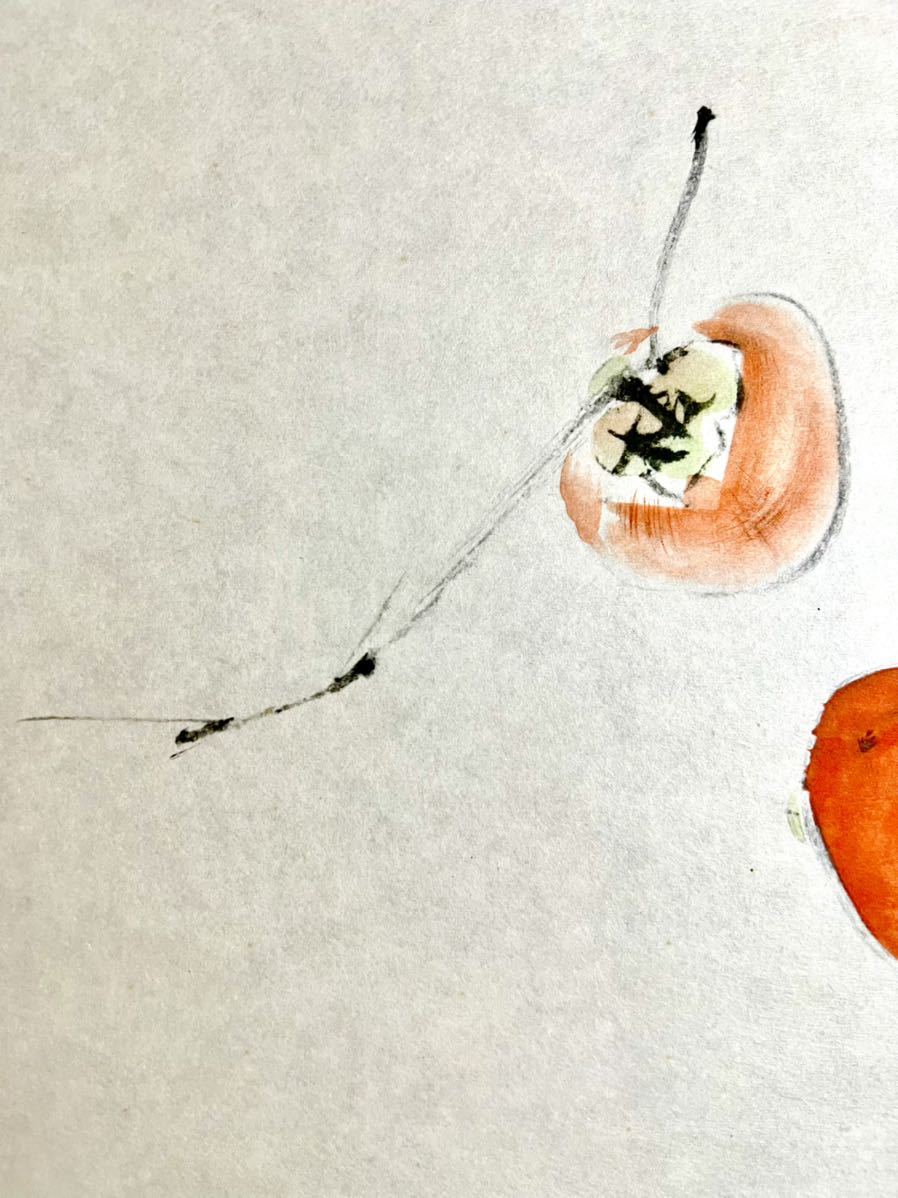 仏陀] 竹内栖鳳「柿」紙本 工芸 抽象画 秋景 茶掛け 茶道 絵画 掛軸 