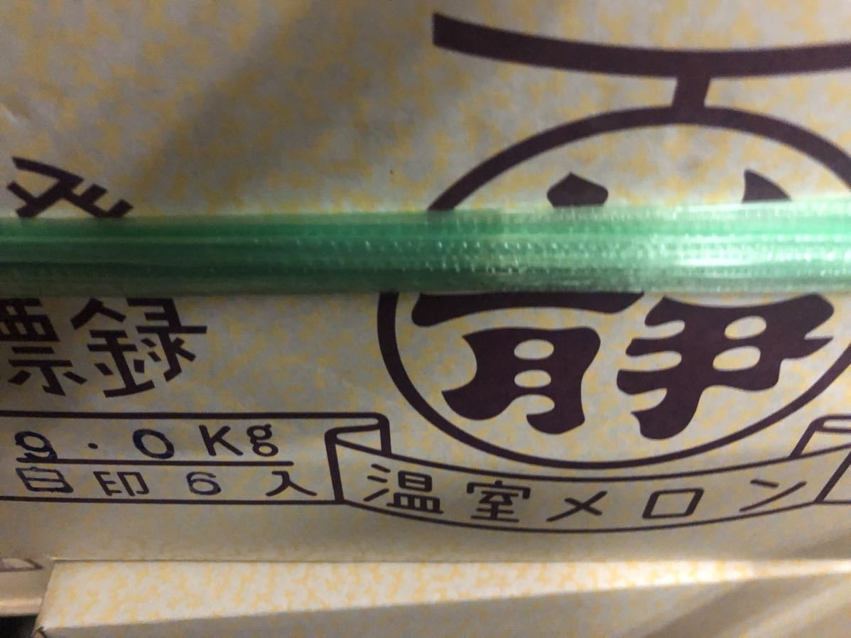 静岡アローマメロン6玉 | THEPARKCOMPANIES.COM