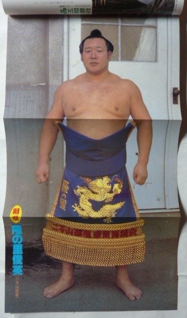相撲 1980-11 表紙 横綱若乃花幹士 ピンナップ / 隆の里俊英 北の洋昇(相撲)|売買されたオークション情報、yahooの商品情報を ...