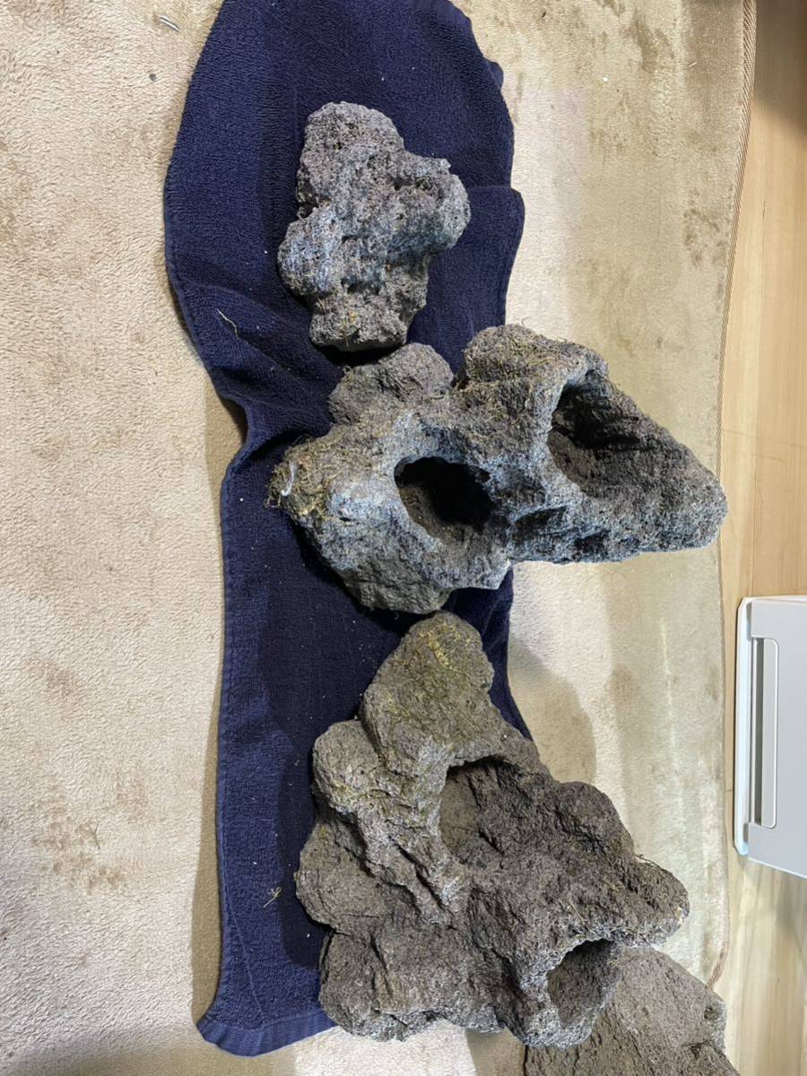 ADA 雲山石 公式通販 アクアリウム 25cm 水槽用 11個セット 親石3点
