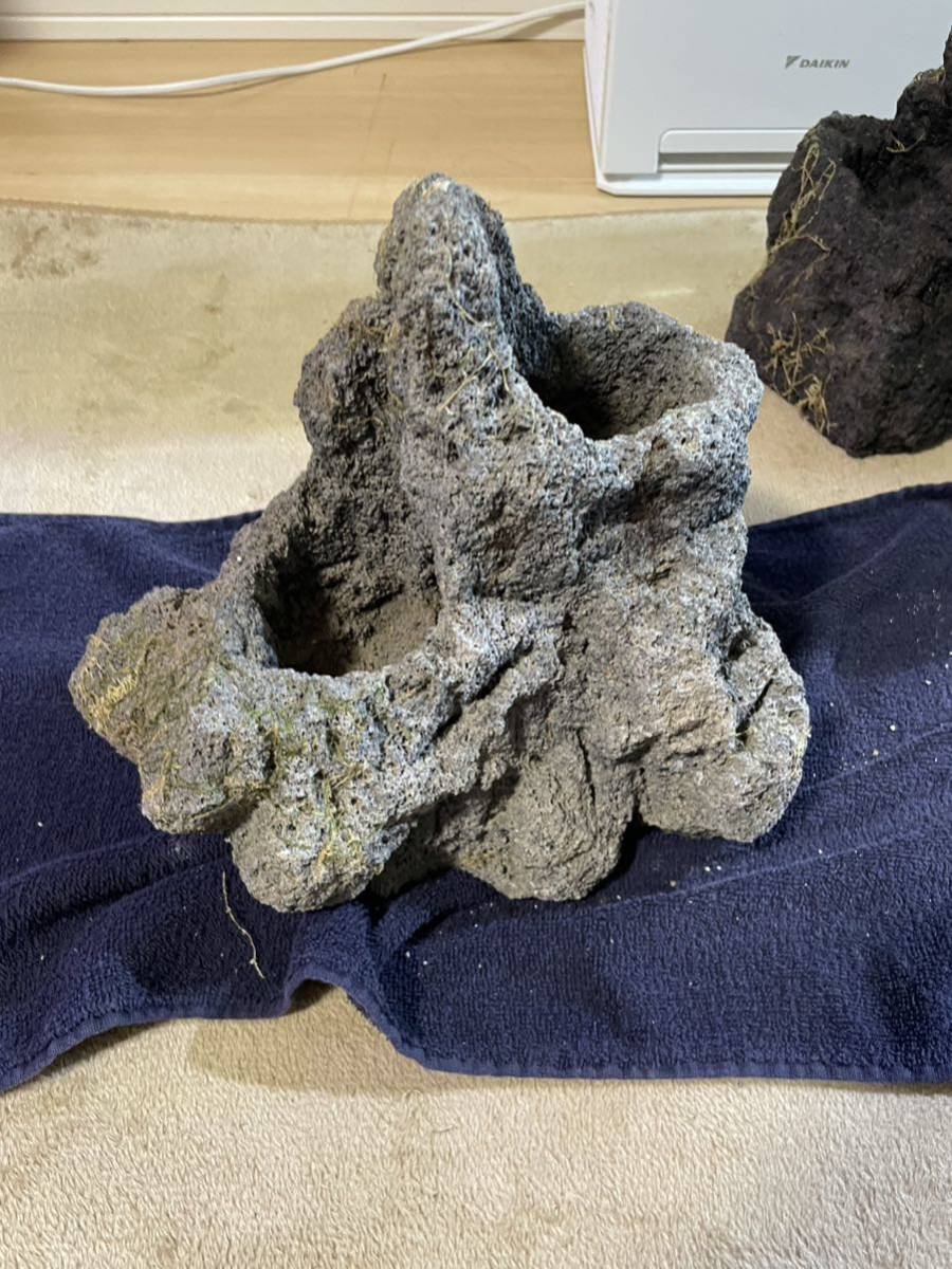 ADA 雲山石 公式通販 アクアリウム 25cm 水槽用 11個セット 親石3点