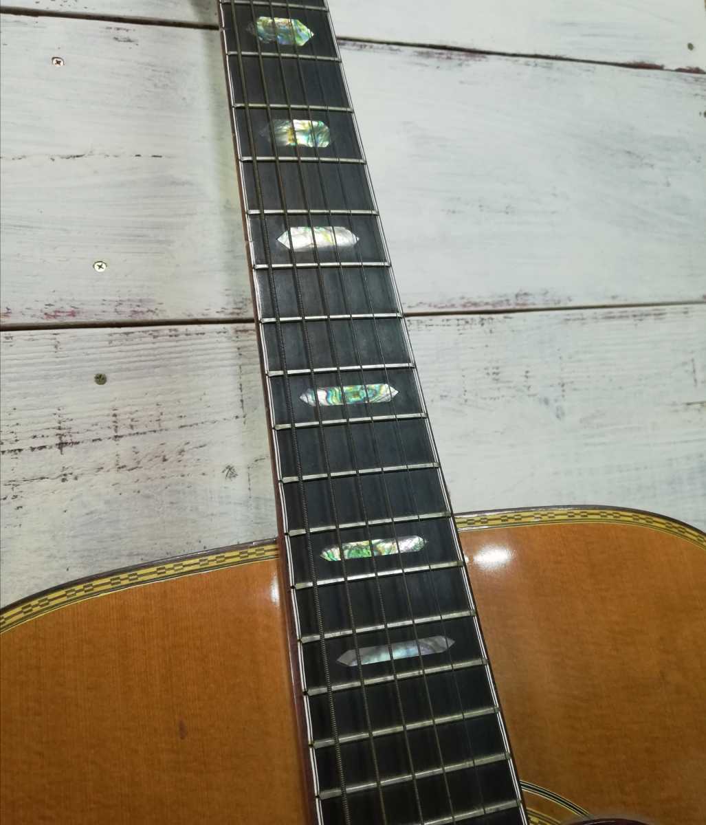Pro Martin ProMartin プロマーチン プロマーチン⁄アコースティック
