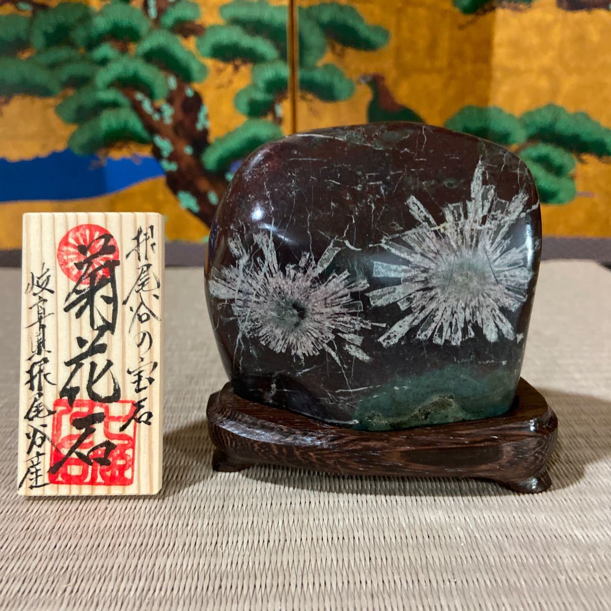 菊花石 鑑賞石 盆栽 公式通販 水石 ☆ 根尾谷 雷光石 赤花菊花 #本巣