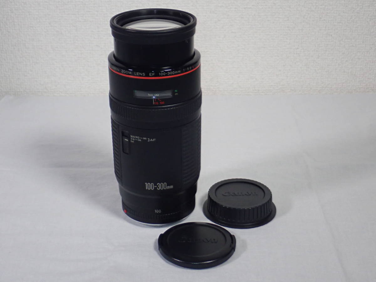 Canon 100-300mm EF USM Lens Telephoto ZOOM : CANON f⁄4.5-5.6 LENS