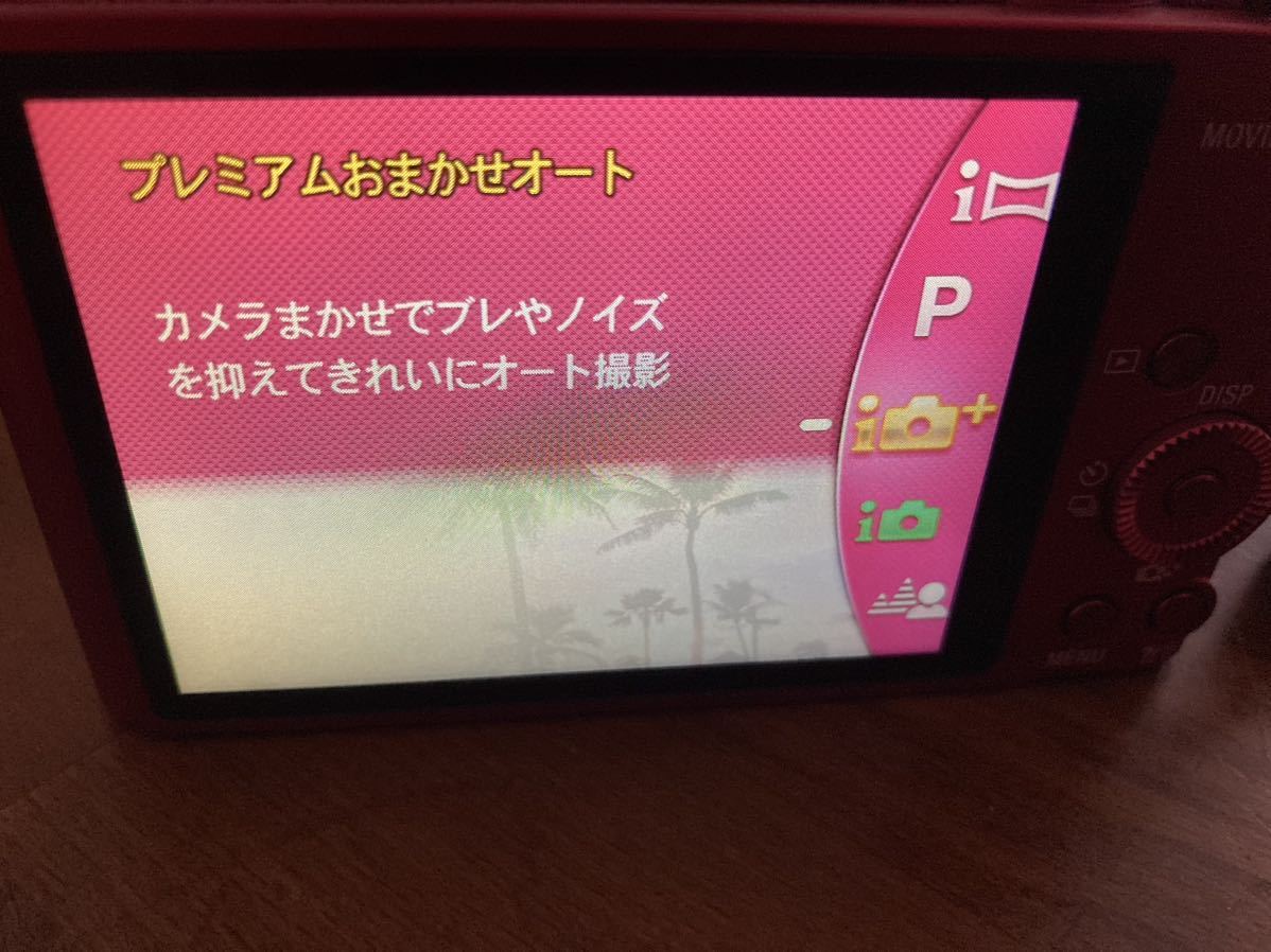 美品 SONY Cyber-shot DSC-WX300 純正ケースおまけ付き ソニー