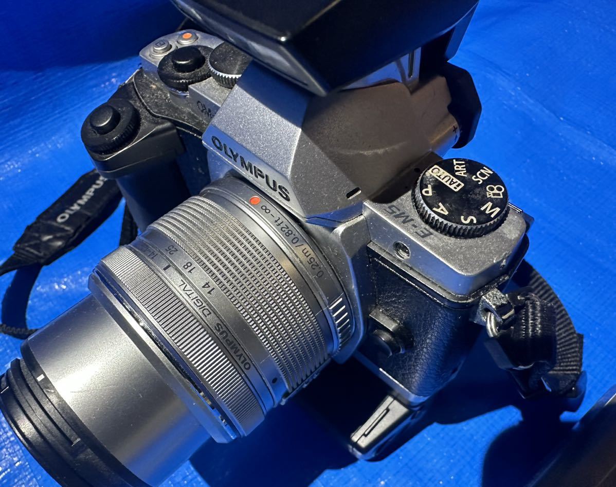 OLYMPUS オリンパスOM-D E-M5 ミラーレス一眼レフカメラ 【公式通販】