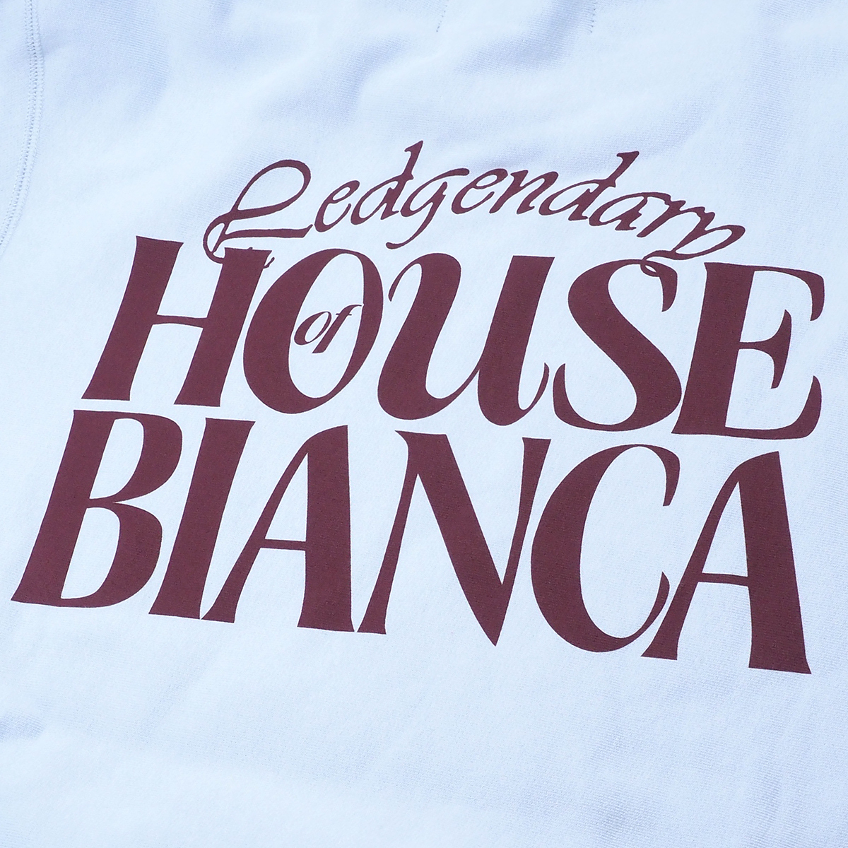 Bianca Chandon - House Of Bianca Pullover Hood 水色L ビアンカ シャンドン - ハウス オブ ビアンカ プルオーバー フード 2019FW Bianca House Chandon Sweatshirt Hooded Purple