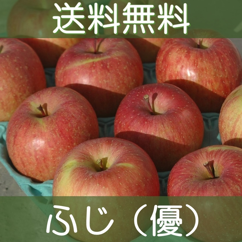りんご □送料無料□ 福島産りんご【サンふじ】優玉 約11kg 超大玉20個 (1)